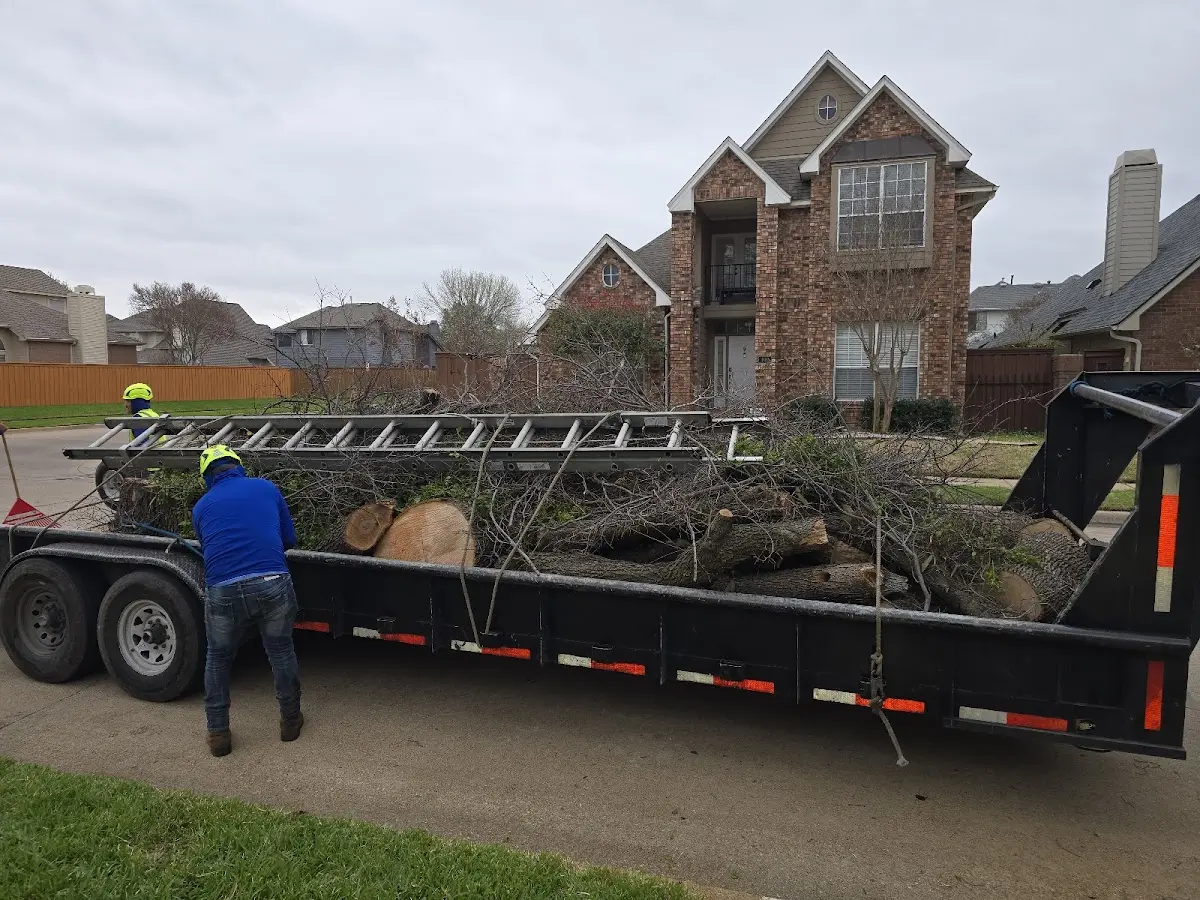Expert Crown Reduction with proper safety equipment in Pleasant Grove